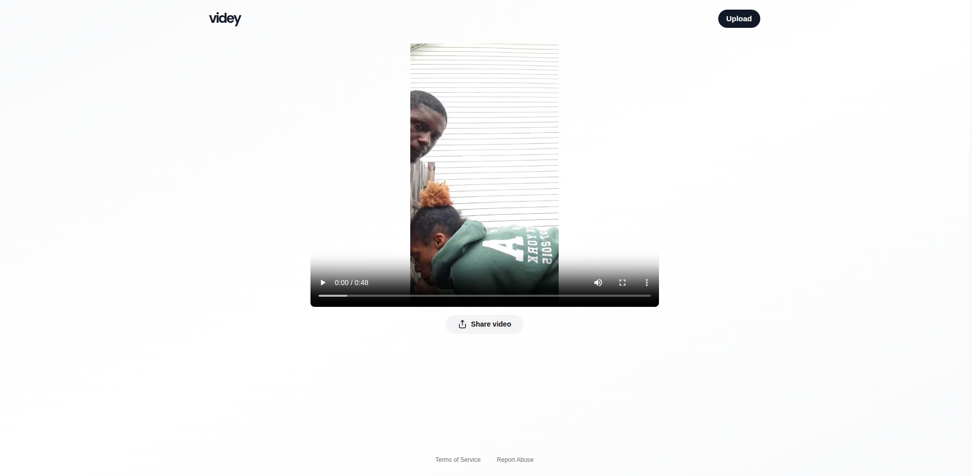 Thumbnail for Videy - Free and Simple Video Hosting