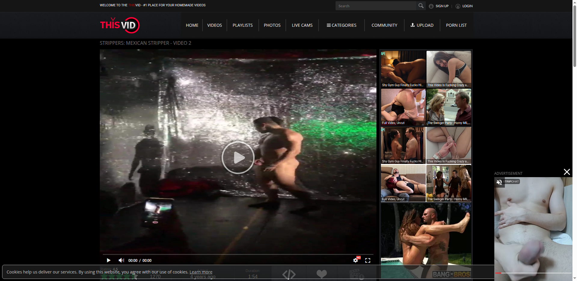 Thumbnail for beery boned stripper