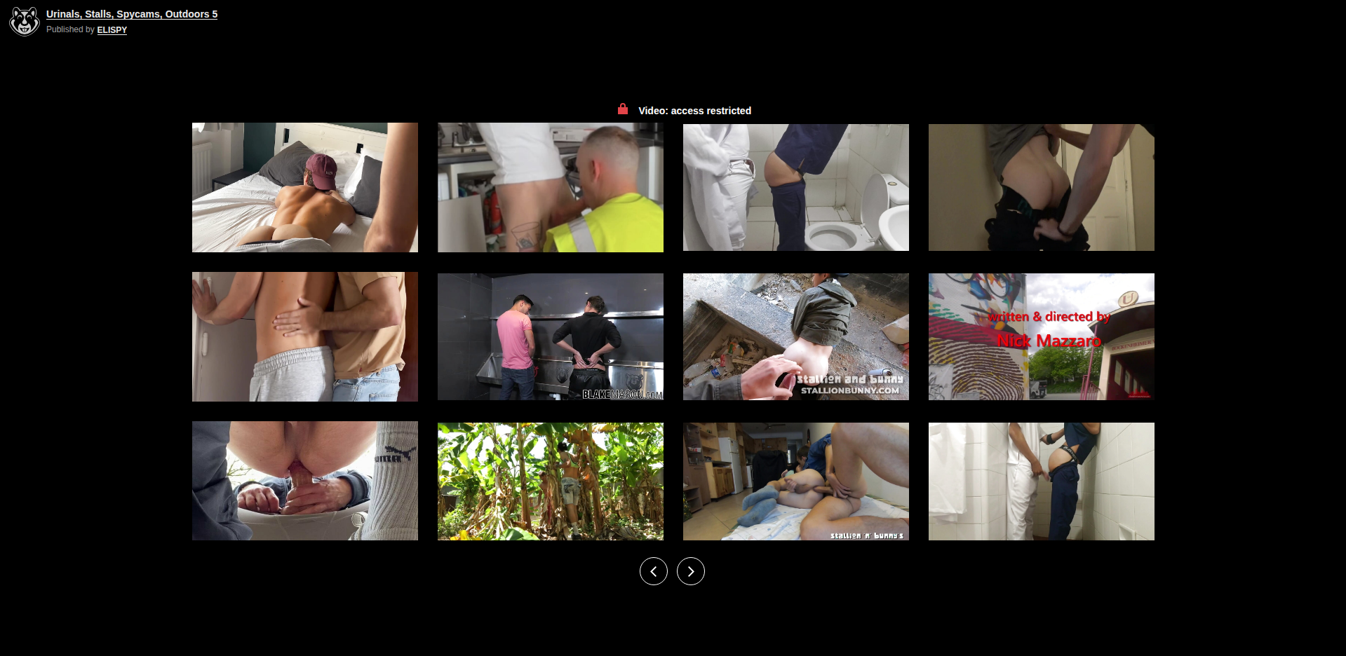 Thumbnail for Urinals, Stalls, Spycams, Outdoors 5