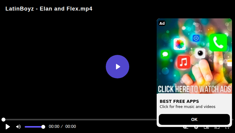 Thumbnail for LatinBoyz - Elan and Flex