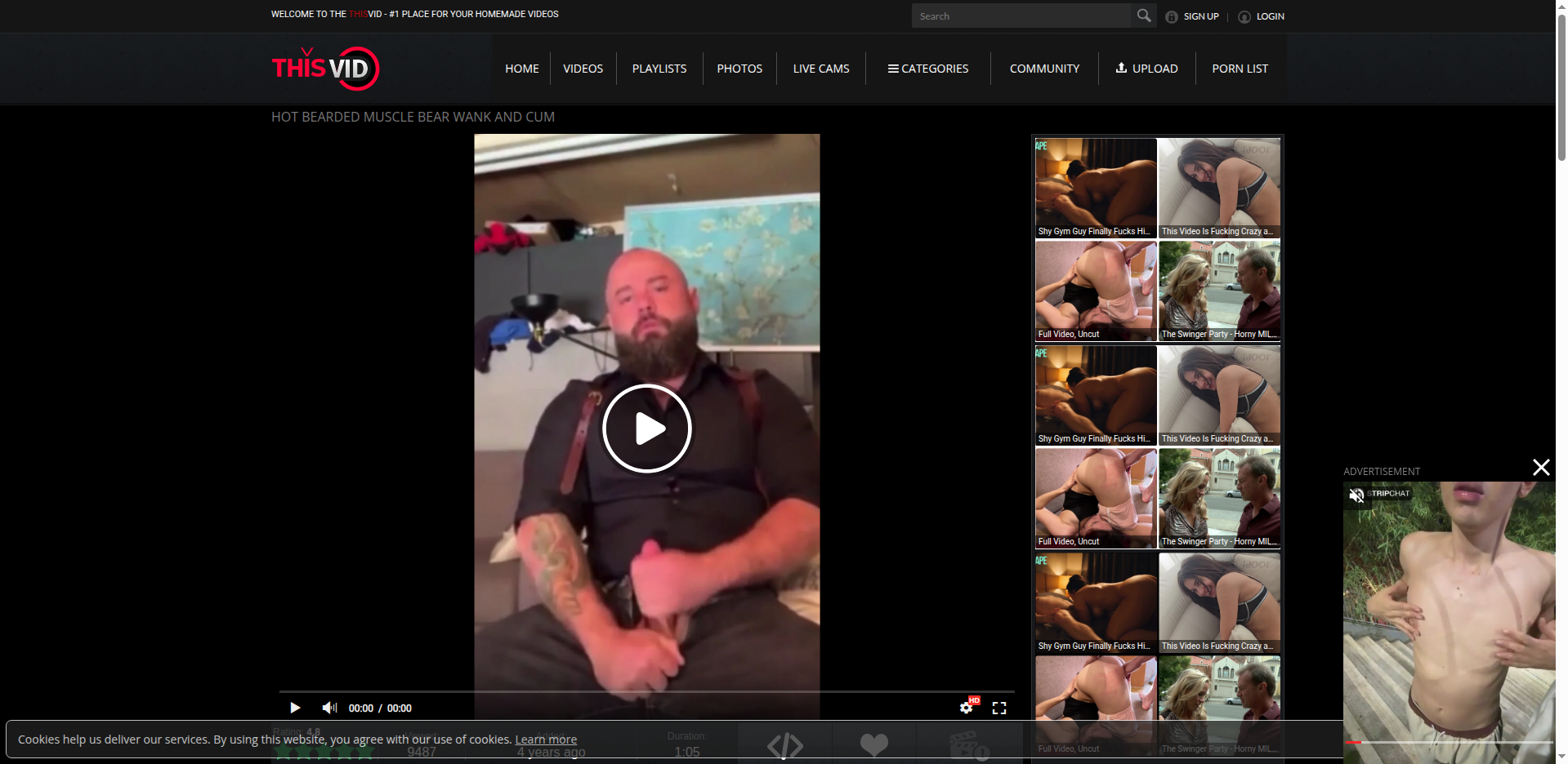 Thumbnail for beefy