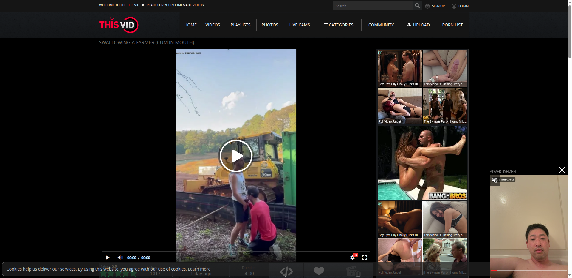 Thumbnail for swallowing-a-farmer-cum-in-mouth/