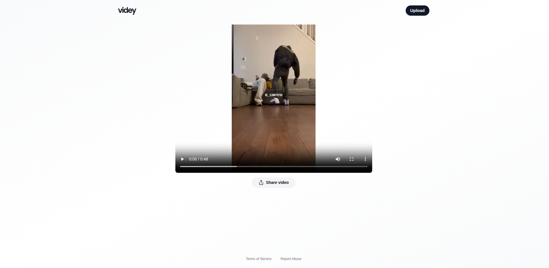 Thumbnail for Videy - Free and Simple Video Hosting