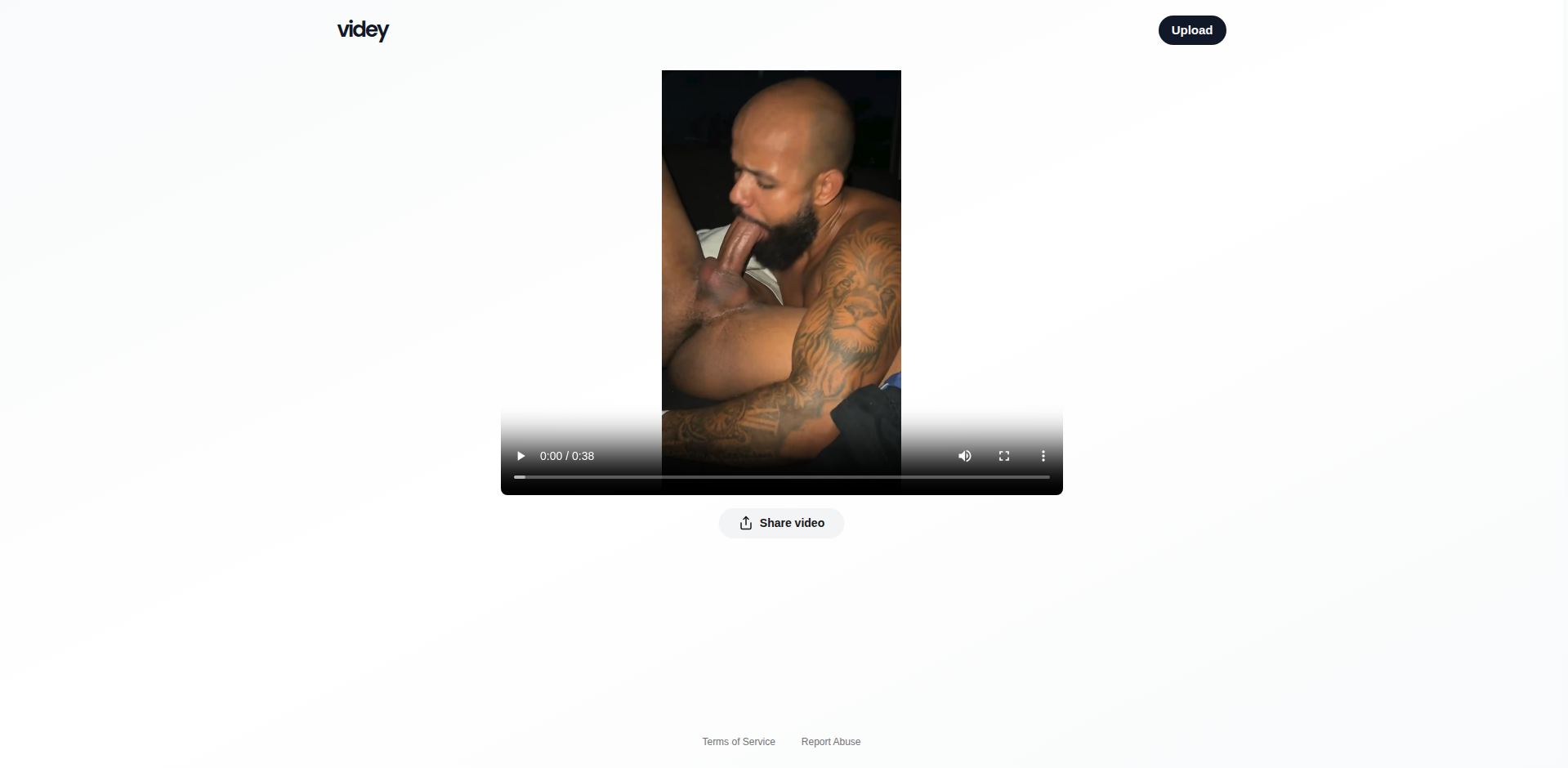 Thumbnail for Videy - Free and Simple Video Hosting