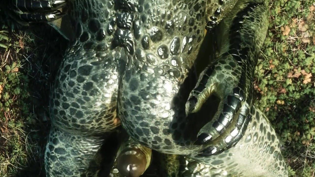 Thumbnail for Argonian yiff vid 01 - ThisVid.com